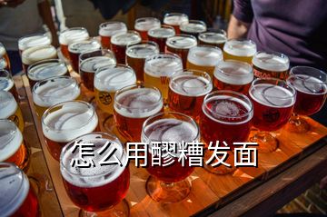 怎么用醪糟發面