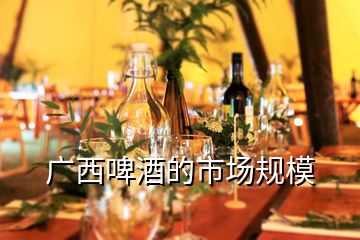 廣西啤酒的市場規模