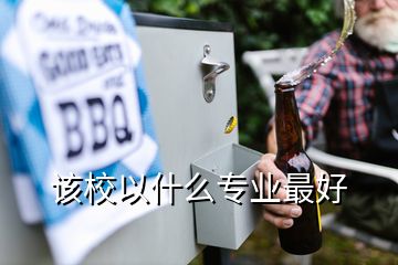 該校以什么專業最好