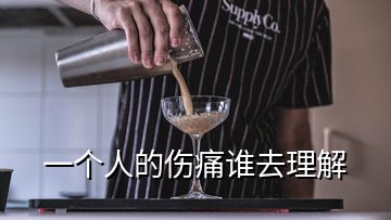 一個(gè)人的傷痛誰(shuí)去理解