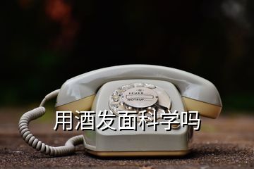 用酒發面科學嗎