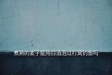 煮熟的麥子能用白酒泡過打窩釣魚嗎