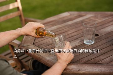 湯溝酒業董事長何繼平提出的次高端白酒的概念是什么