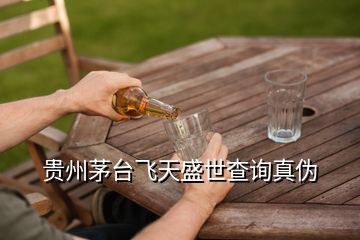 貴州茅臺飛天盛世查詢真偽
