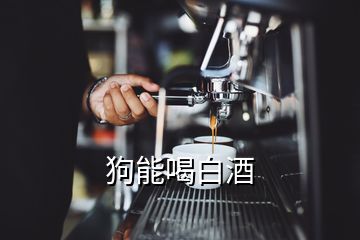狗能喝白酒