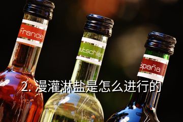 2. 漫灌淋鹽是怎么進行的