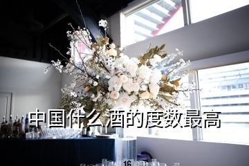 中國什么酒的度數最高