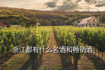 浙江都有什么名酒和暢銷(xiāo)酒