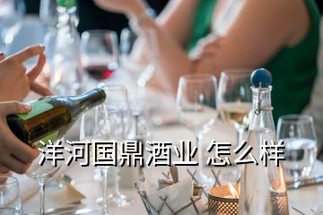 洋河國鼎酒業 怎么樣