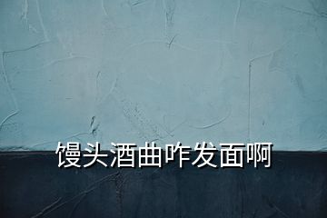 饅頭酒曲咋發面啊