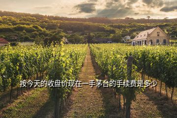 按今天的收盤價現在一手茅臺的手續費是多少
