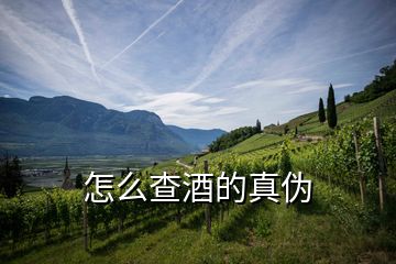 怎么查酒的真偽