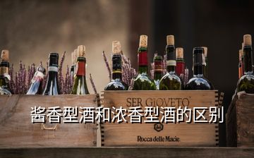 醬香型酒和濃香型酒的區別