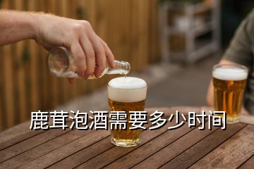 鹿茸泡酒需要多少時(shí)間