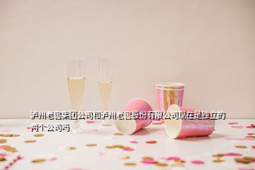 瀘州老窖集團公司和瀘州老窖股份有限公司現(xiàn)在是獨立的兩個公司嗎