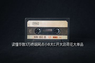 讀懂華致3萬終端網點小B大C開大店荷花大單品