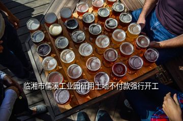 臨湘市儒溪工業園征用土地不付款強行開工