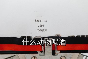 什么動物喝酒