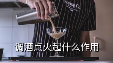 調(diào)酒點火起什么作用