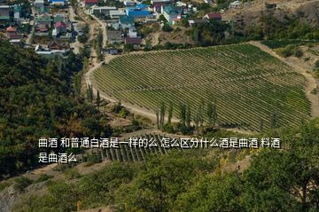 曲酒 和普通白酒是一樣的么 怎么區分什么酒是曲酒 料酒是曲酒么