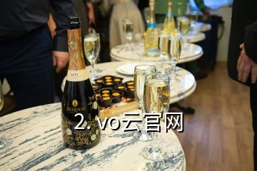 2. vo云官網