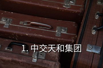 1. 中交天和集團