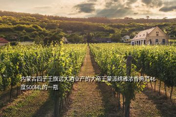 內蒙古四子王旗遠大酒業產的大帝王蒙派綿雅濃香典范46度500ML的一瓶
