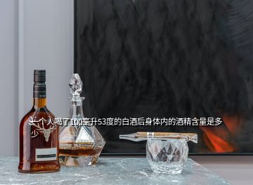 一個人喝了100毫升53度的白酒后身體內的酒精含量是多少