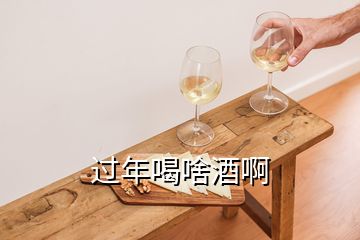 過(guò)年喝啥酒啊
