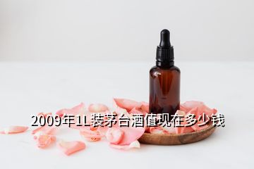 2009年1L裝茅臺酒值現在多少錢