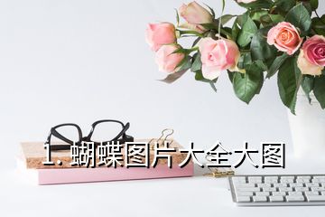 1. 蝴蝶圖片大全大圖