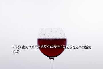 聽說濟南的紅高粱酒酒質不錯價格也合適現在怎么加盟他們呢
