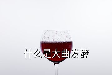 什么是大曲發酵