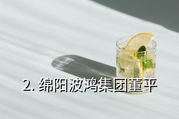 2. 綿陽波鴻集團董平