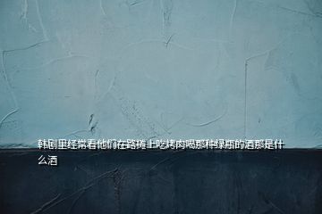 韓劇里經常看他們在路攤上吃烤肉喝那種綠瓶的酒那是什么酒