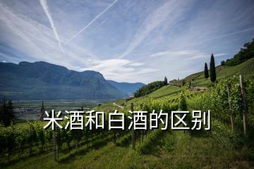 米酒和白酒的區別