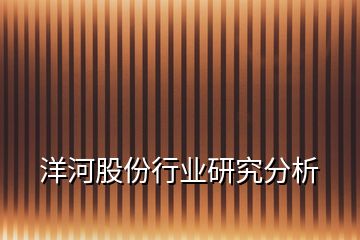 洋河股份行業研究分析