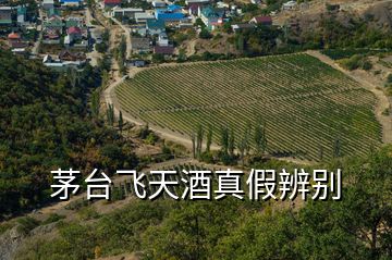 茅臺飛天酒真假辨別