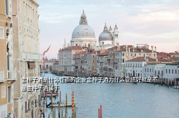 金種子酒是什么性質的企業金種子酒為什么業績好就是不漲金種子酒屬于