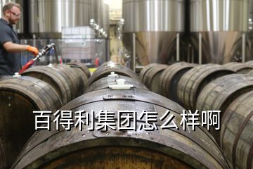 百得利集團怎么樣啊