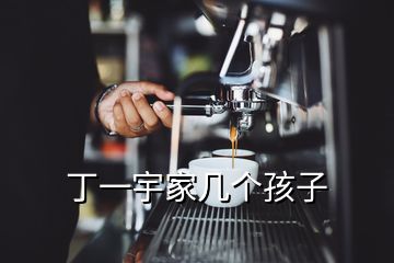 丁一宇家幾個孩子