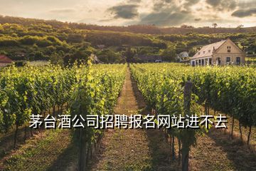 茅臺酒公司招聘報名網站進不去