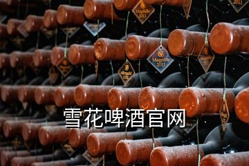 雪花啤酒官網