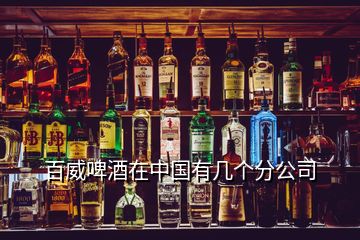 百威啤酒在中國有幾個分公司