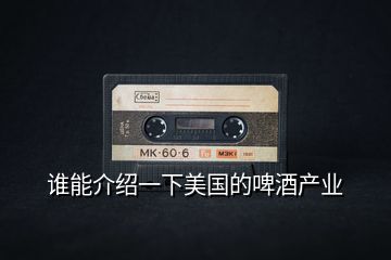 誰能介紹一下美國的啤酒產業