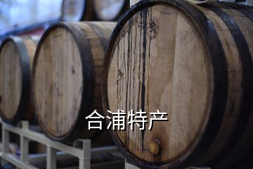 合浦特產
