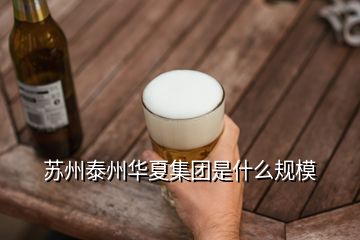 蘇州泰州華夏集團是什么規模