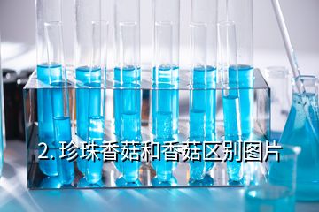 2. 珍珠香菇和香菇區別圖片