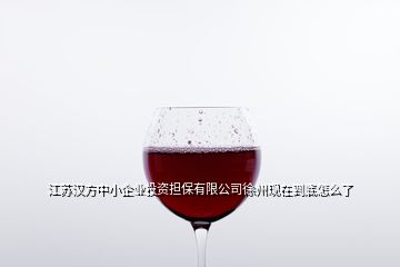 江蘇漢方中小企業投資擔保有限公司徐州現在到底怎么了