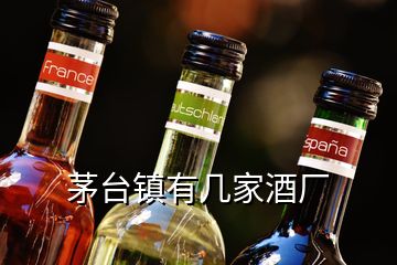 茅臺鎮有幾家酒廠